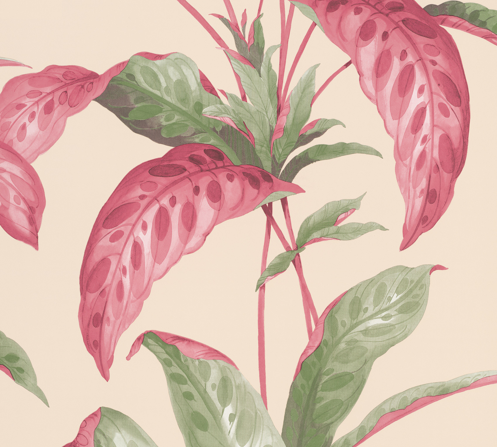 Обои Paint & Paper Library Botany Tropicane Rhubarb 0360TRRHUBA